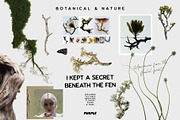 Botanical & Nature Collage Kit, an Object Graphic by Purple (Thumbnail 1 of 11)
