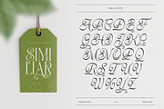 Gamory Typeface, a Serif Font by alit design (Thumbnail 10 of 21)