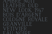 Naive Inline Font Collection, a Serif Font by S&C Type (Thumbnail 9 of 10)