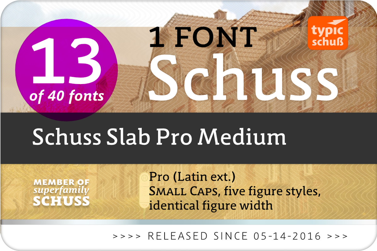 SchussSlabProMedium No.13 (1 Font) preview 2