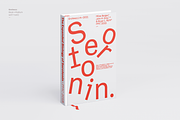 Grotesco, a Sans Serif Font by Latinotype (Thumbnail 12 of 15)