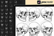 160 Procreate Skull Stamp Brushes, a Brush Add-On by DrawingStoryShop (Thumbnail 6 of 6)