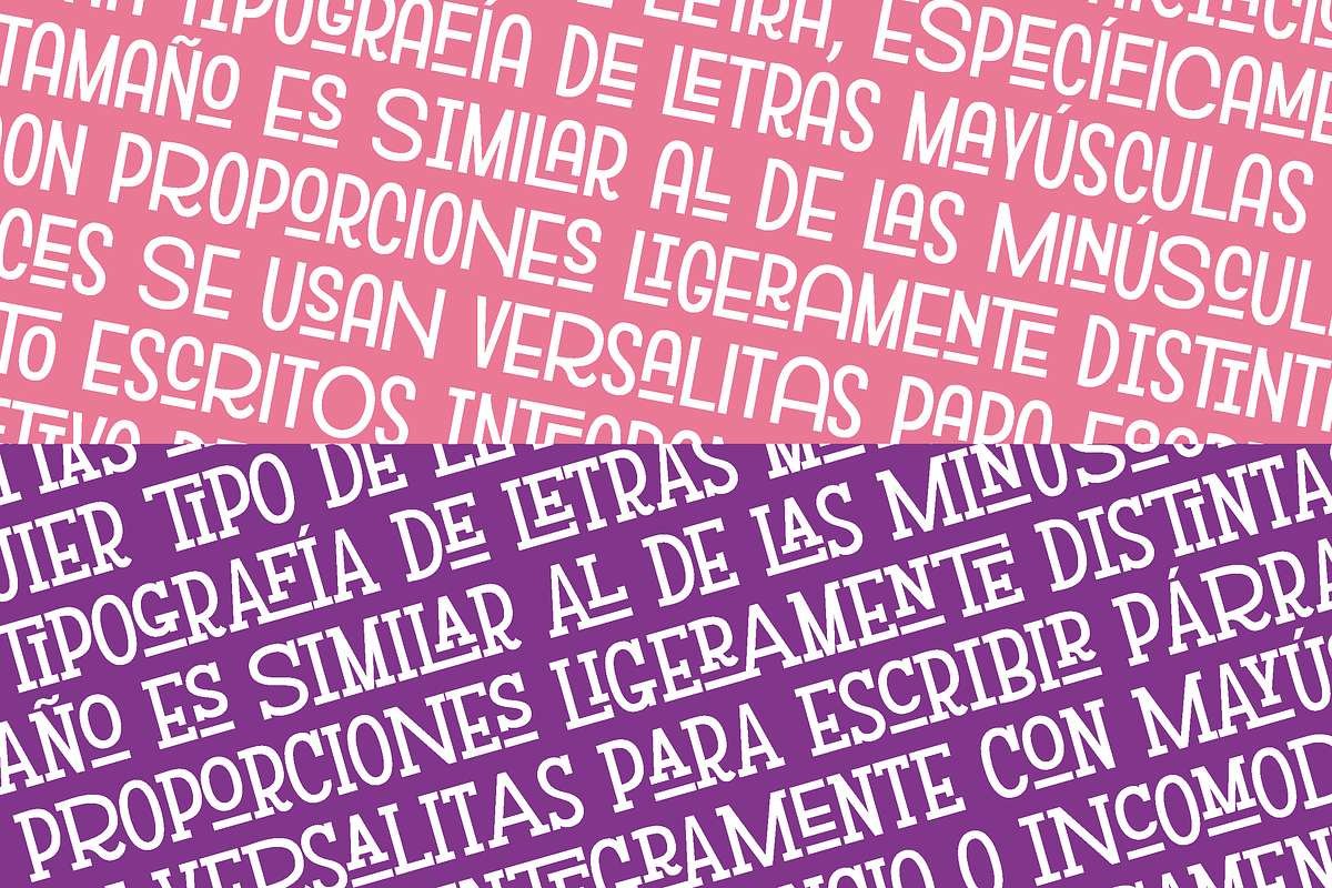 2in1 Versalita& + Versalita&Serif preview 8