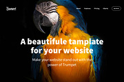 Trumpet - A Premium HTML Template, a Templates & Theme by DigitalAwesome (Thumbnail 1 of 4)