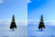 10 Magical Christmas LR Presets, a Preset Add-On by RamsaGraphi (Thumbnail 4 of 10)