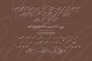 Starfield Brightens, a Script Font by operatype.co (Thumbnail 7 of 15)