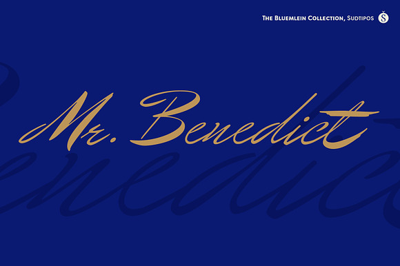 Mr Benedict Pro preview 7