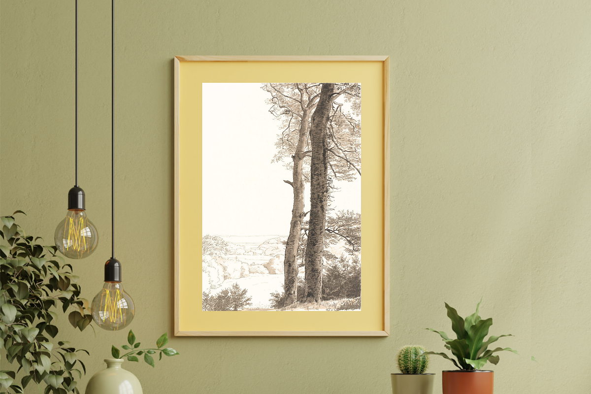 Vintage Tree Sketch PNG, a Decorative Illustration by Pink_bloom (Photo 7 of 8)