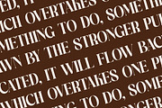 Copeland New Modern Serif Font, a Serif Font by Storytype Studio (Thumbnail 10 of 15)