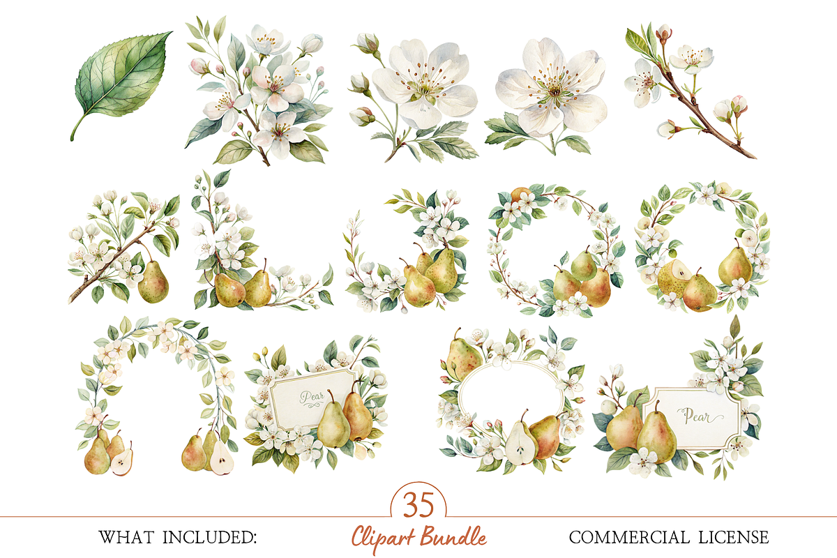 Autumn Pear Clipart PNG, an Object Illustration by MockupWizard (Photo 3 of 5)