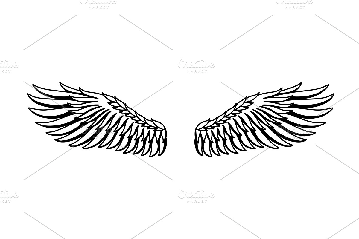 Wings sketch. Stylized birds, an Object Illustration by Things for designers