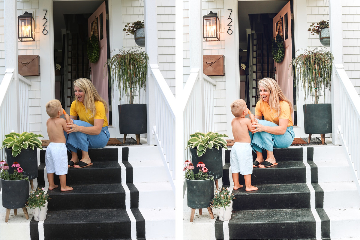 Desktop Lightroom Preset NESTING preview 4