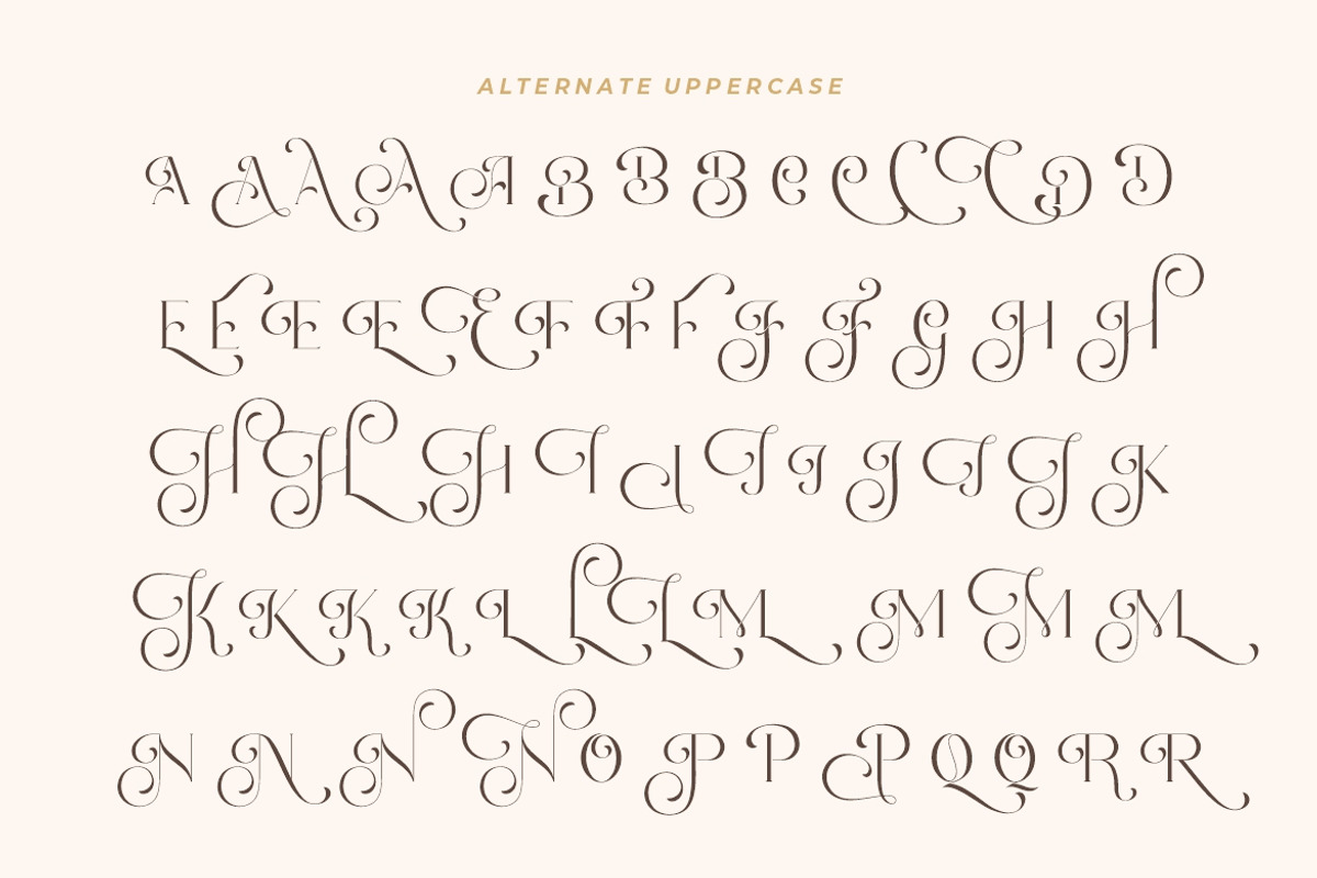 Romantic Serif - Elegant Classy Font, a Font by HansCo Studio (Photo 12 of 15)