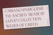 Hazchel, a Serif Font by Amera Type (Thumbnail 3 of 11)
