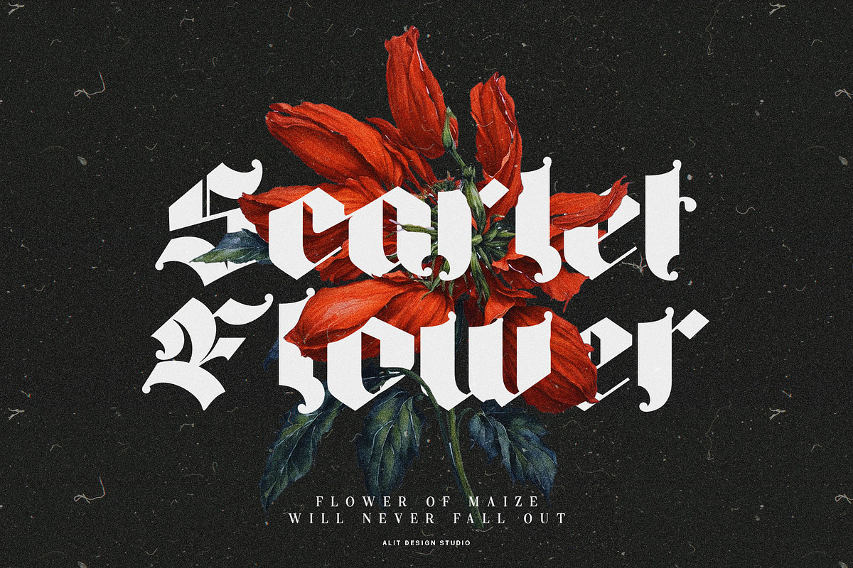Big Fat Gothic Blackletter Typeface, a Blackletter Font by alit design (Photo 4 of 11)