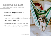 Spring Break Mobile Lightroom Preset, an Action Add-On by Filtercrave (Thumbnail 8 of 14)