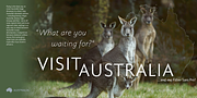 Faber Sans Pro, a Sans Serif Font by ingoFonts (Thumbnail 7 of 9)