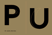 Karl – Cool Sans w Unique Alternates, a Sans Serif Font by Local Desk Designstudio (Thumbnail 10 of 28)