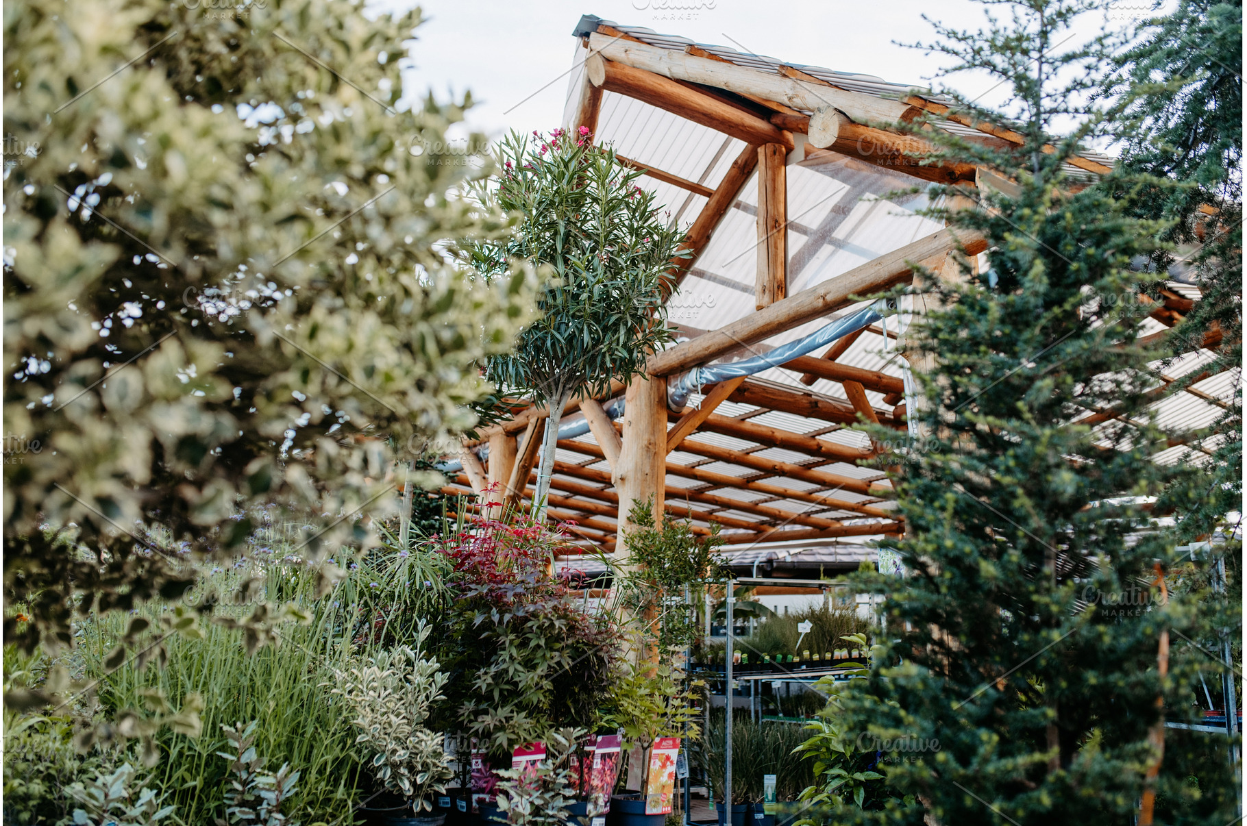 Garden store with organized flower, a Nature Photo by HalfPoint