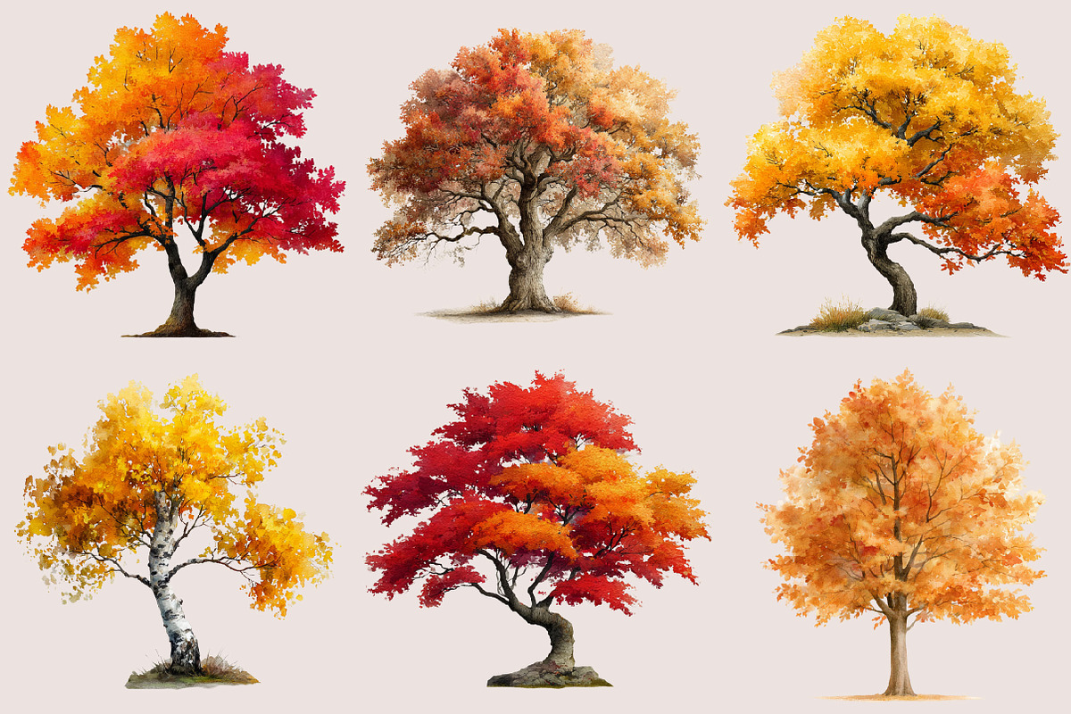 Watercolor Autumn Tree PNG Clipart, a Seasonal Illustration by SVGArt (Photo 2 of 5)