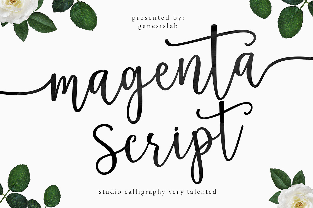 Calligrapher's Font Bundle (98%Off) preview 6