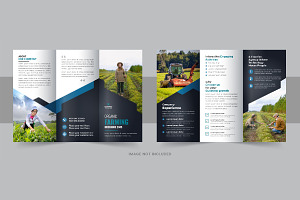 Lawn care or Agro trifold brochure, a Brochure Template by Pavel_design