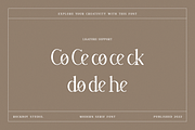 Coherence - Fashion Font, a Serif Font by RockboyStd (Thumbnail 11 of 12)