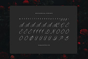 Avilantery Elegant Calligraphy, a Script Font by gracetype_studio (Thumbnail 11 of 12)