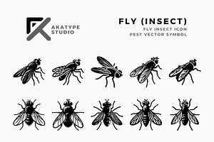 Fly (Insect) Icon Vector, an Icon by Akatype Studio