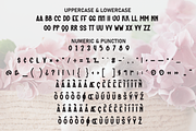 Kitten Bouquet | Script Font, a Script Font by Scratchones (Thumbnail 7 of 8)