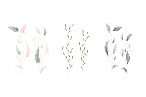 Watercolor leaves set with pastel, a Texture Illustration by okskukuruza