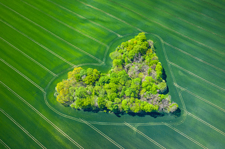 Natural Love Valentine Symbol.