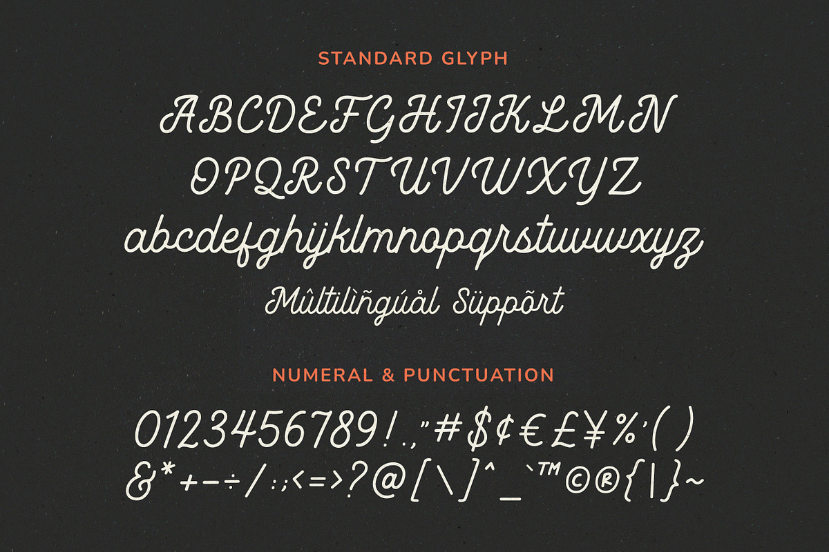 Rotterhead Monoline Vintage Font, a Script Font by Seagulls Creative (Photo 7 of 8)