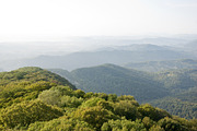 Mountain View, forested. preview 4