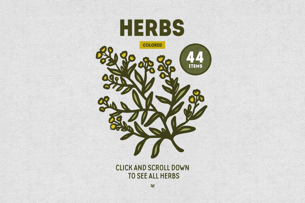 Herbs Collection, a Food Illustration by Chelovector (Photo 2 of 4)