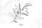 Botanical Vector Illustrations, an Illustration by FoxyImage (Thumbnail 4 of 7)