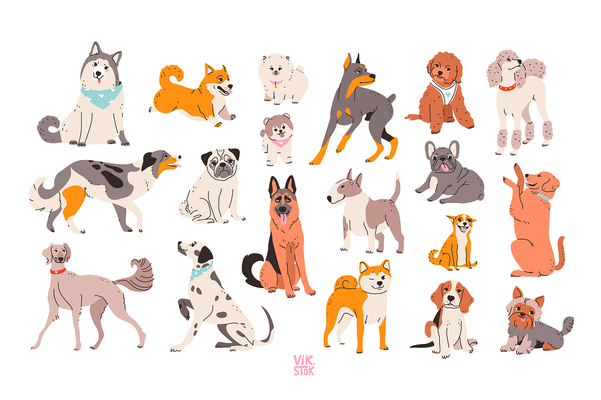 Cute dogs of different breeds set, an Animal Illustration by vik.stock (Photo 11 of 11)