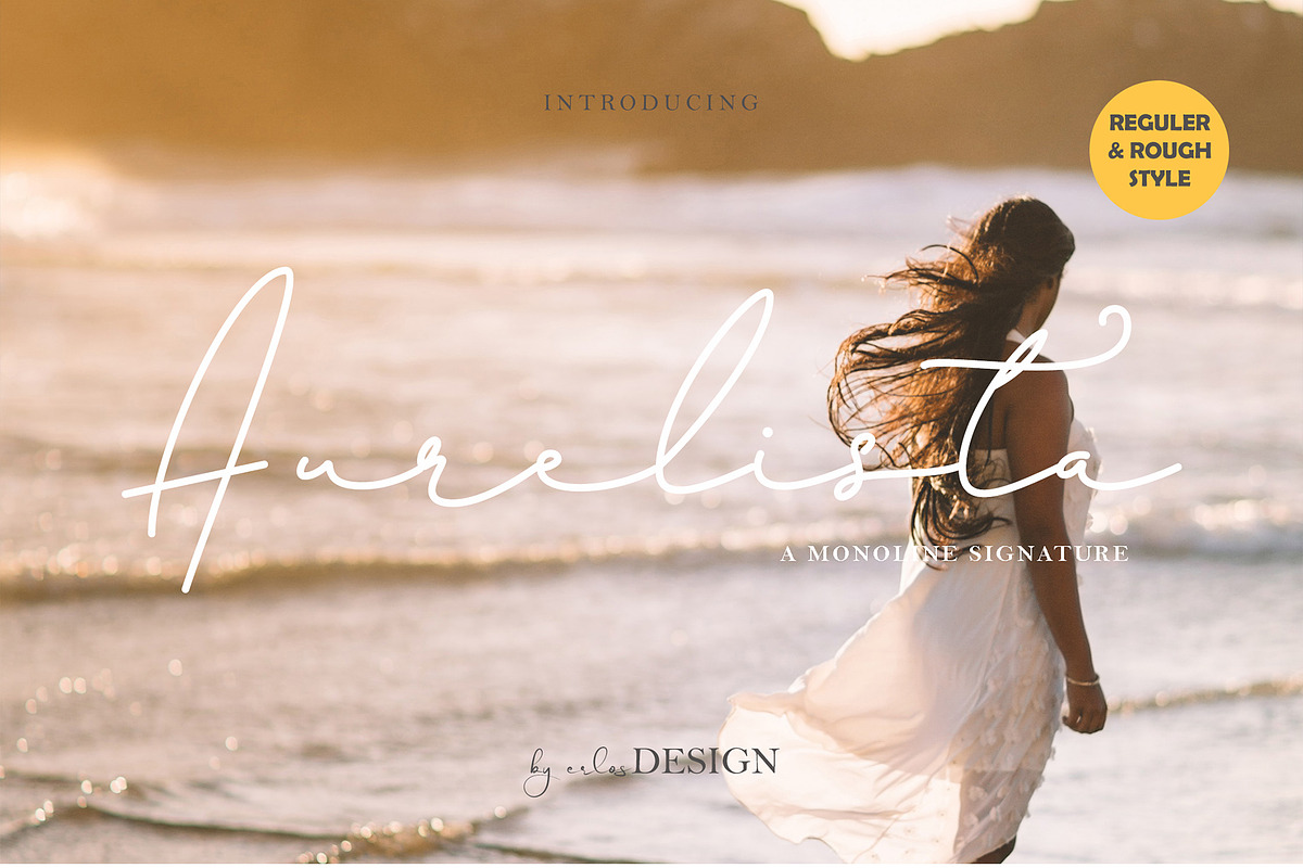 The Font Bundle 12 Modern Fonts, a Handwritten Font by erlosDESIGN (Photo 3 of 13)