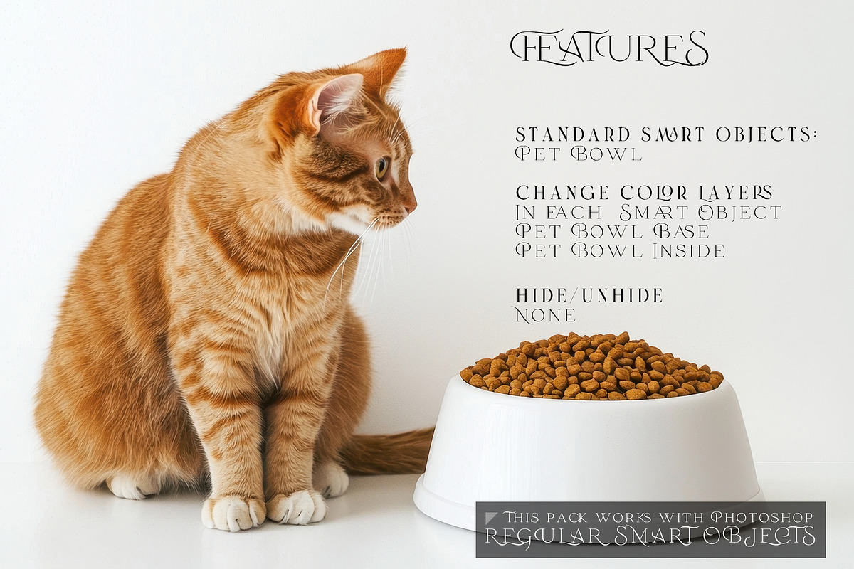 Pet Bowls PNG & PSD Mockups, a Product Mockup by mock-ups (Photo 3 of 12)