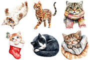 Watercolor Cat Clipart PNG, an Illustration by Pixels.Craft (Thumbnail 3 of 7)