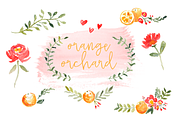 Orange Orchard Watercolor Elements, an Illustration by Susan Brand Design (Thumbnail 2 of 2)