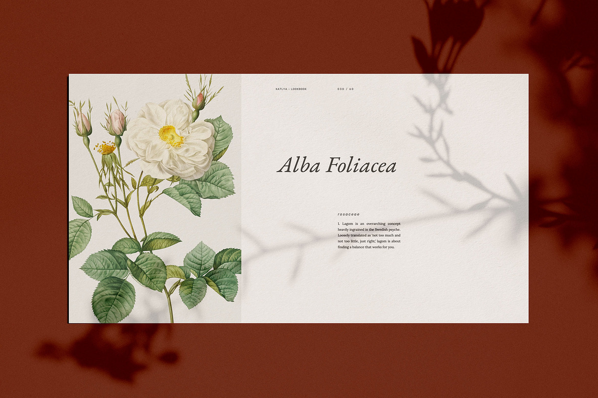 KATLYA - Powerpoint Template, a Presentation Template by Elokka Std. (Photo 4 of 11)