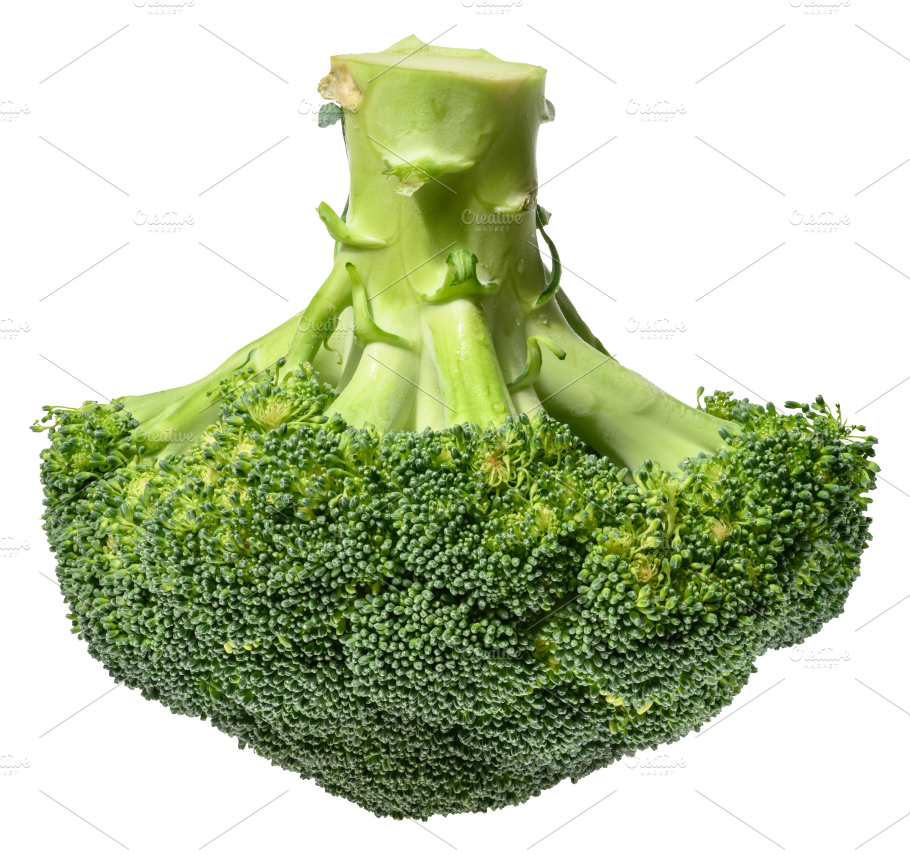 Fresh green broccoli floret with stalk, isolated background. Hea, a Food & Drink Photo by ndanko