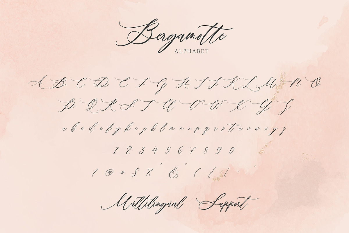 Bergamotte Fine Art Calligraphy preview 8