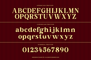 Nurencia Decorative Display Font, a Serif Font by Rasio Studio (Thumbnail 2 of 10)