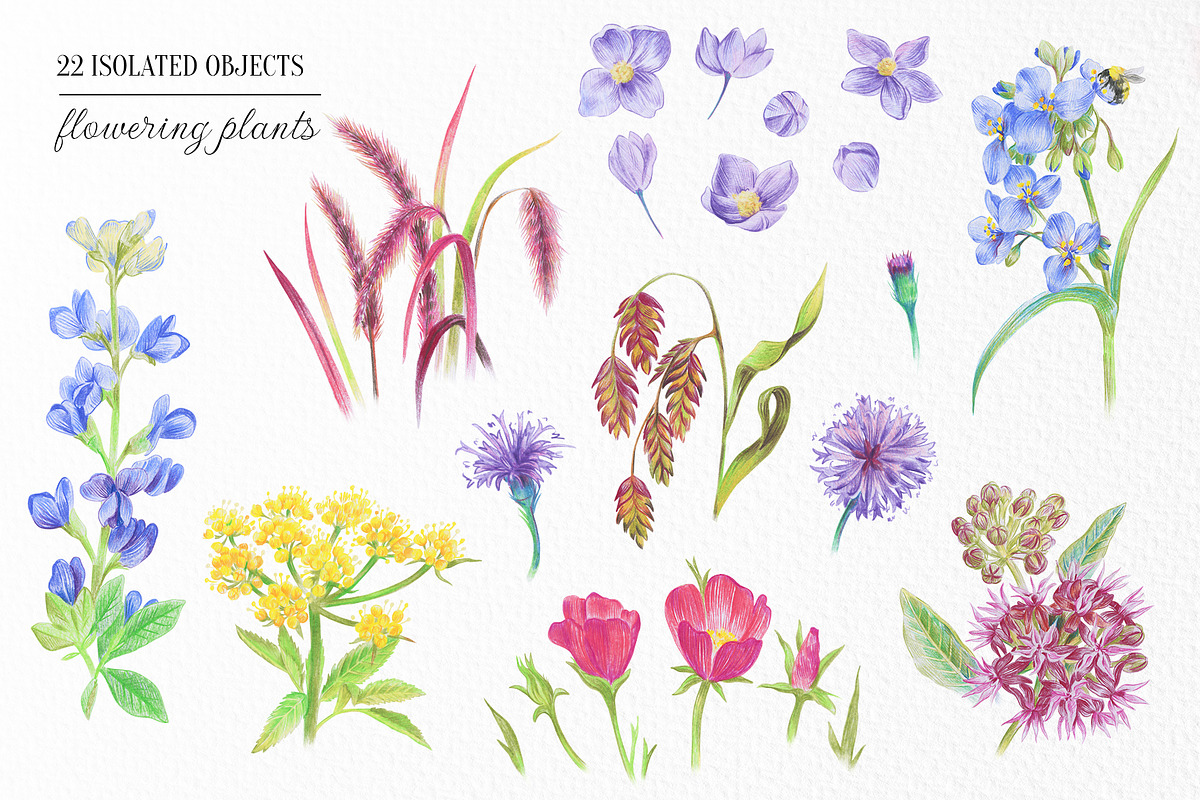 Prairie aesthetics. 52 items, an Animal Illustration by Art by Lady Natali (Photo 3 of 13)