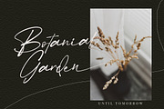 Betmo // Delight Calligraphy, a Script Font by Vultype Co. (Thumbnail 6 of 14)