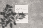 Signatie | Stylish Signature Font, a Script Font by BrandSemut (Thumbnail 5 of 13)