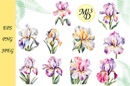 Set of 20 watercolor iris flowers