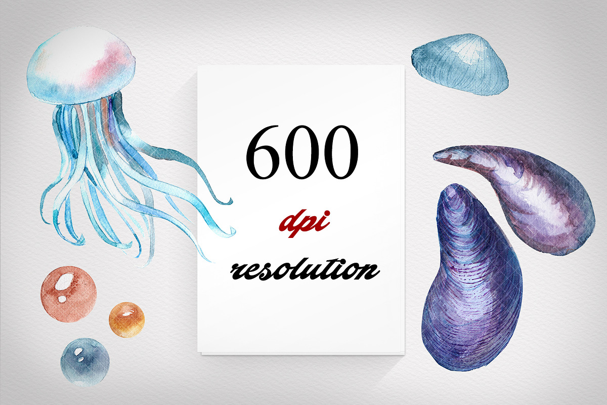Seashell collection, a Decorative Illustration by Germesia arts store (Photo 2 of 4)